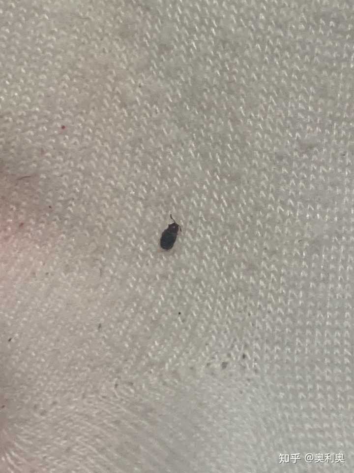 最新资讯 第123页