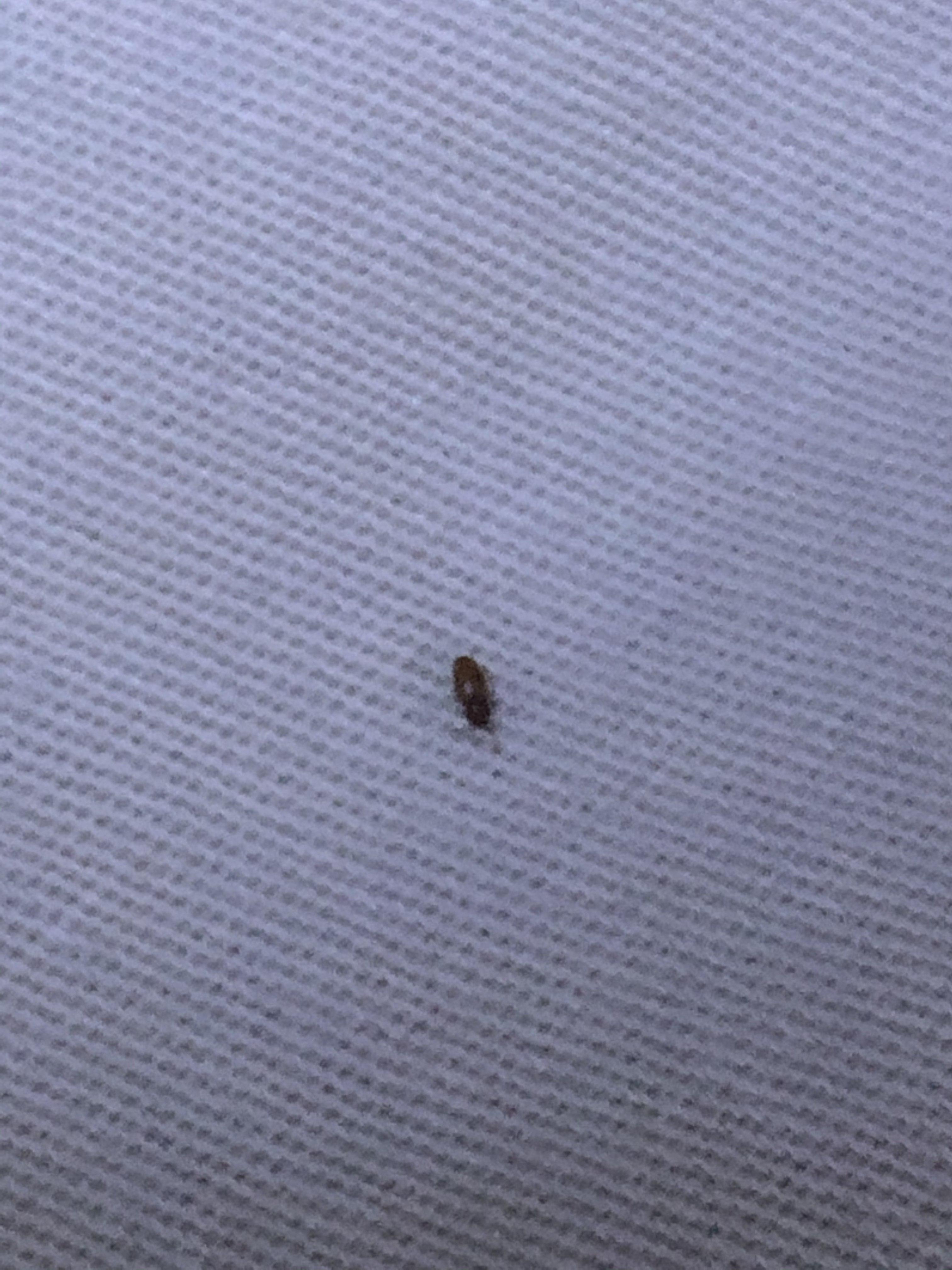 娱乐生活 第123页