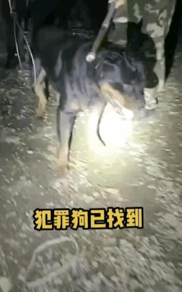 娱乐生活 第105页