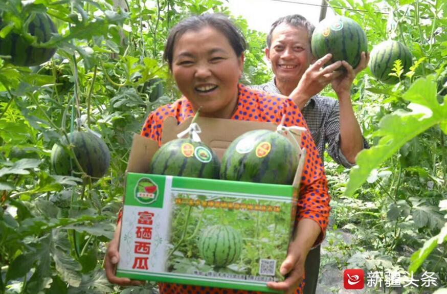 地方新闻 第85页