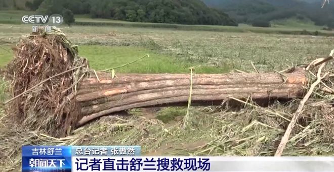最新资讯 第81页