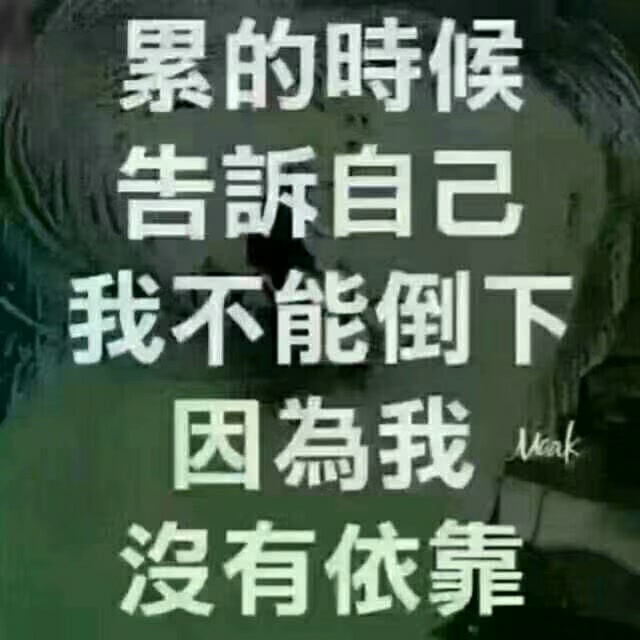 第1146页