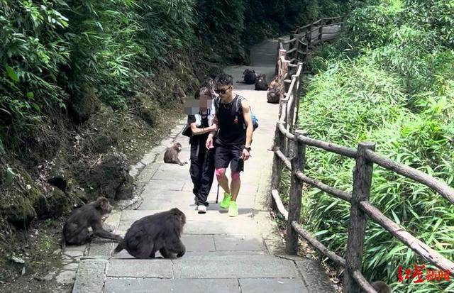 热点生活 第9页