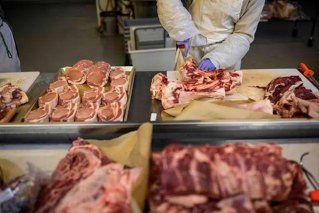 800吨鸭肉冒充牛羊肉骗贷调查关于一起涉及800吨鸭肉冒充牛羊肉骗贷事件的调查报道
